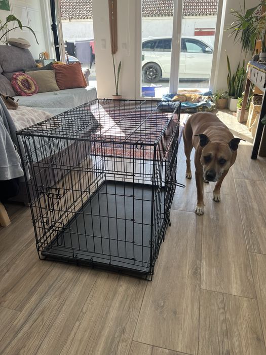 Vendo Crate como nova
