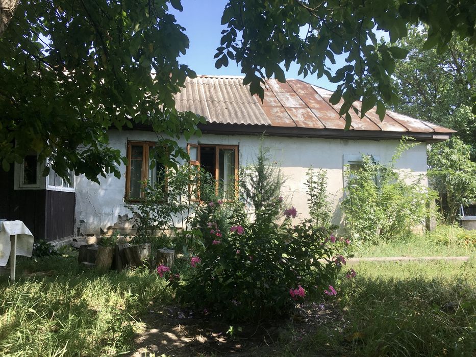 Продам будинок з великою ділянкою в с. Пилиповичі