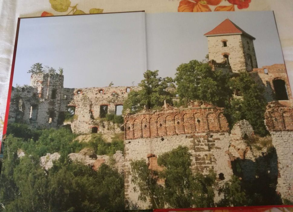 Tajemnicze historie-Polska-Joanna Werner.Album ARTI