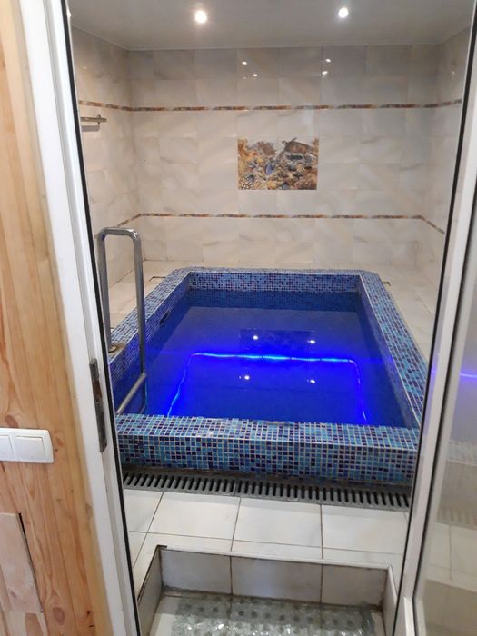 Великий будинок, лазня , басейн.