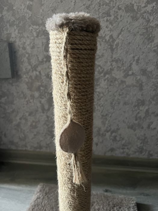 Нова дряпалка для котів