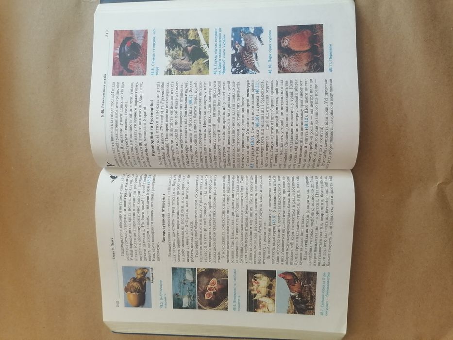 Біологія 7 клас Шабанов Д.А Шапаренко С.О.