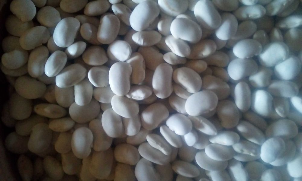 Продаю   інкубаційні  кур'ячі  яйця  Лівенська  ситцева +  Мастер грей