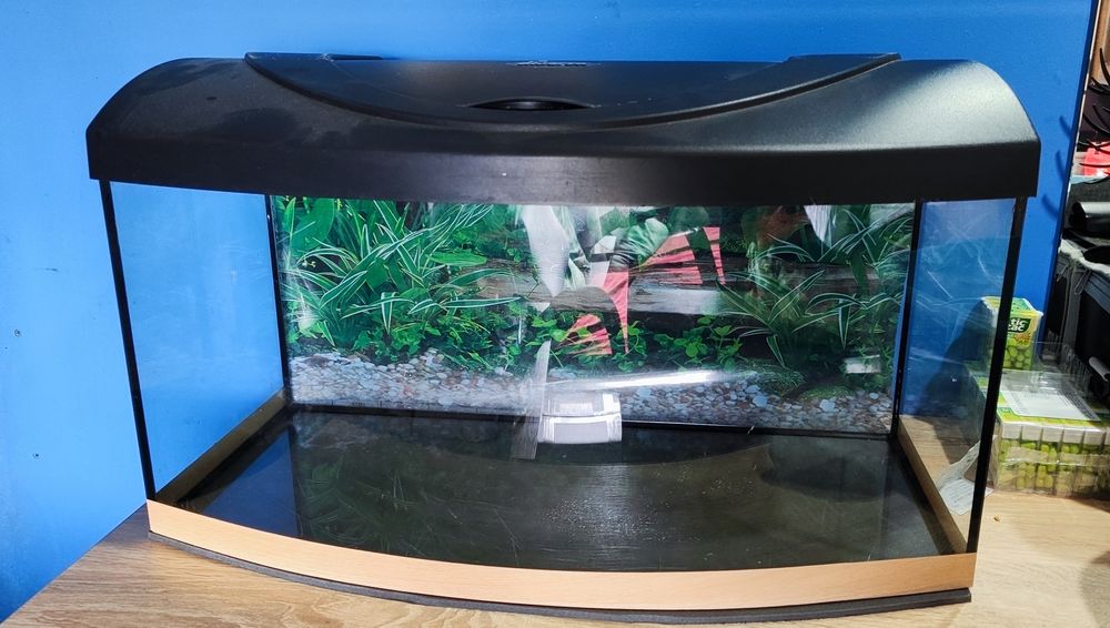 Akwarium wypukłe  z akcesoriami