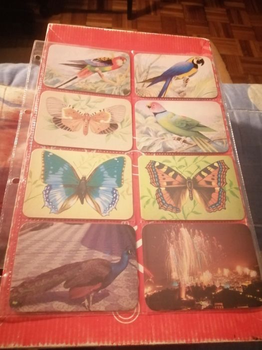 Calendários de bolso (1984) | Vários