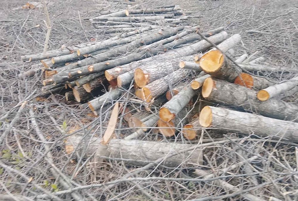 Дрова вільха береза дуб