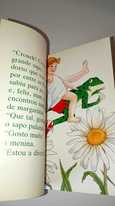 Joaninha e a estrela - Livro Verde (Rose Selarose)