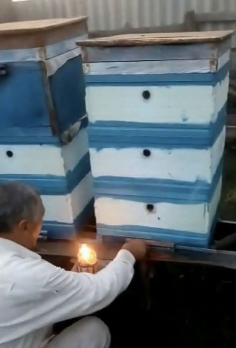 Смужки проти кліща Varroa destructor димові | обробка бджіл | варроа