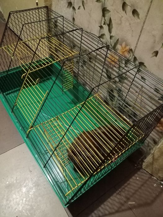 Домик для вашей кошки с когтеточкой