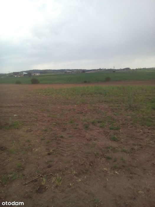 Dzialki budowlane.