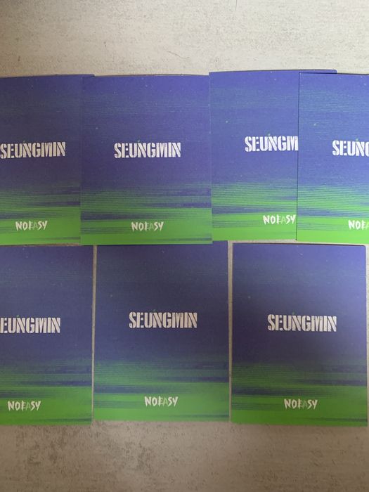Seungmin Stray Kids No Easy