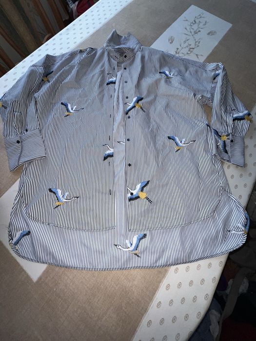 Koszula w paski haftowana w ptaki zara