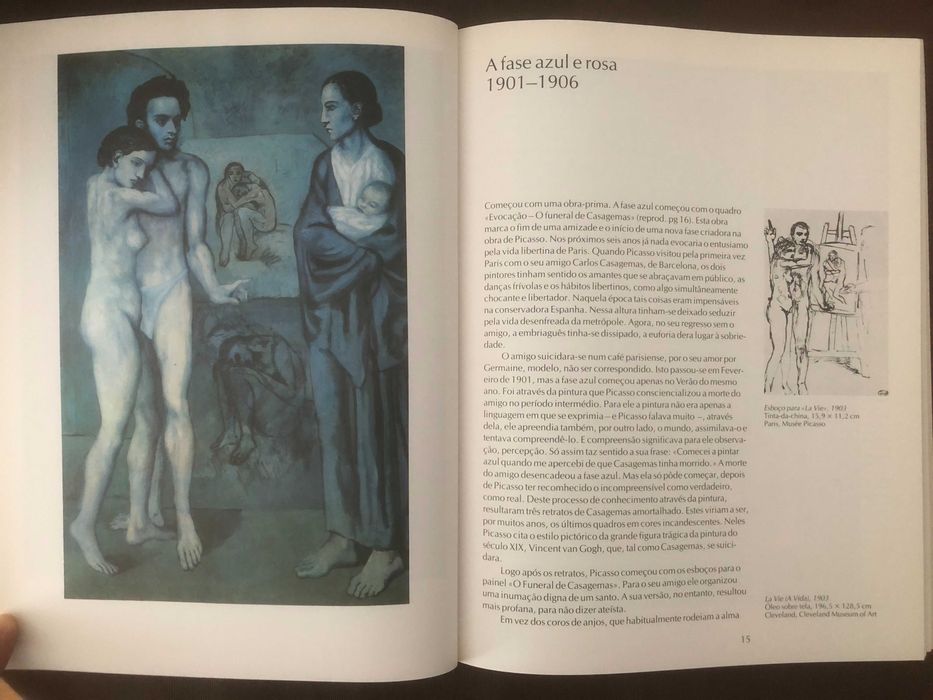 Livro Pablo Picasso (Taschen)