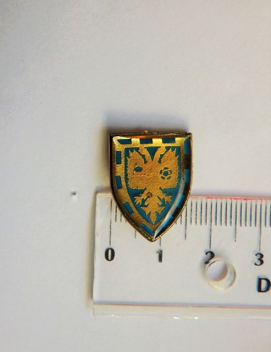pin Wimbledon AFC żywica