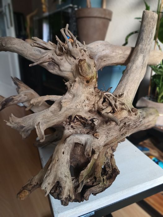 Korzeń do akwarium lub terrarium