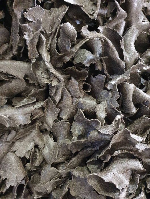 Макуха соняшникова