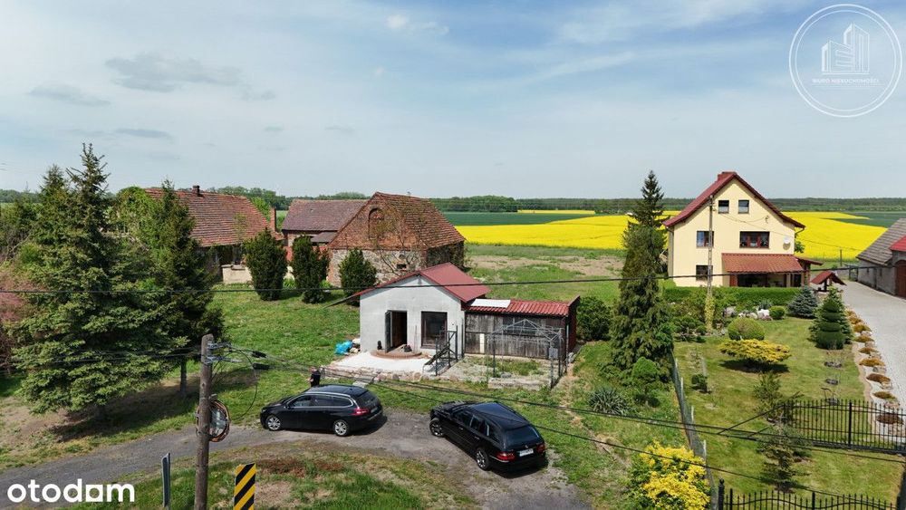 Nieruchomość z dużą działką w Borowie Wielkim - View 2