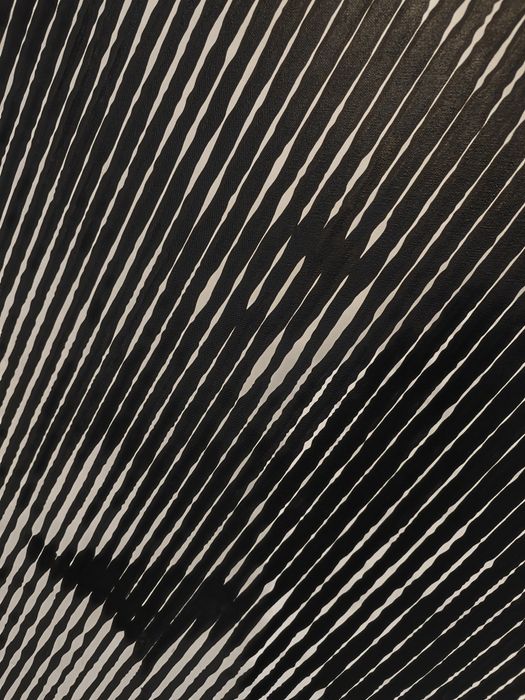 Obraz akrylowy na płótnie malowany farbami Farby Czarny Biały Duży 100