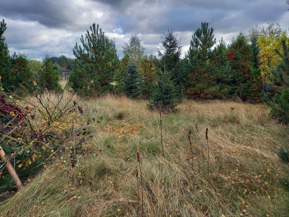 Działka nad jeziorem Lgińskim