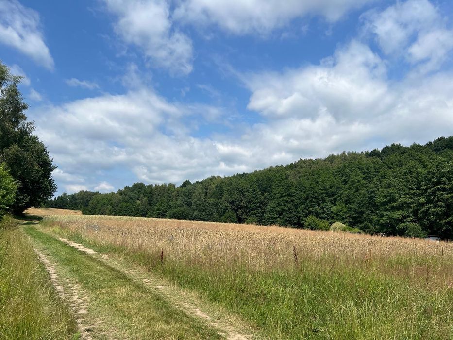 Działka budowlana 2505 m² | Mszana | Cicha okolica | Media | Idealna pod wymarzony dom - Widok 2
