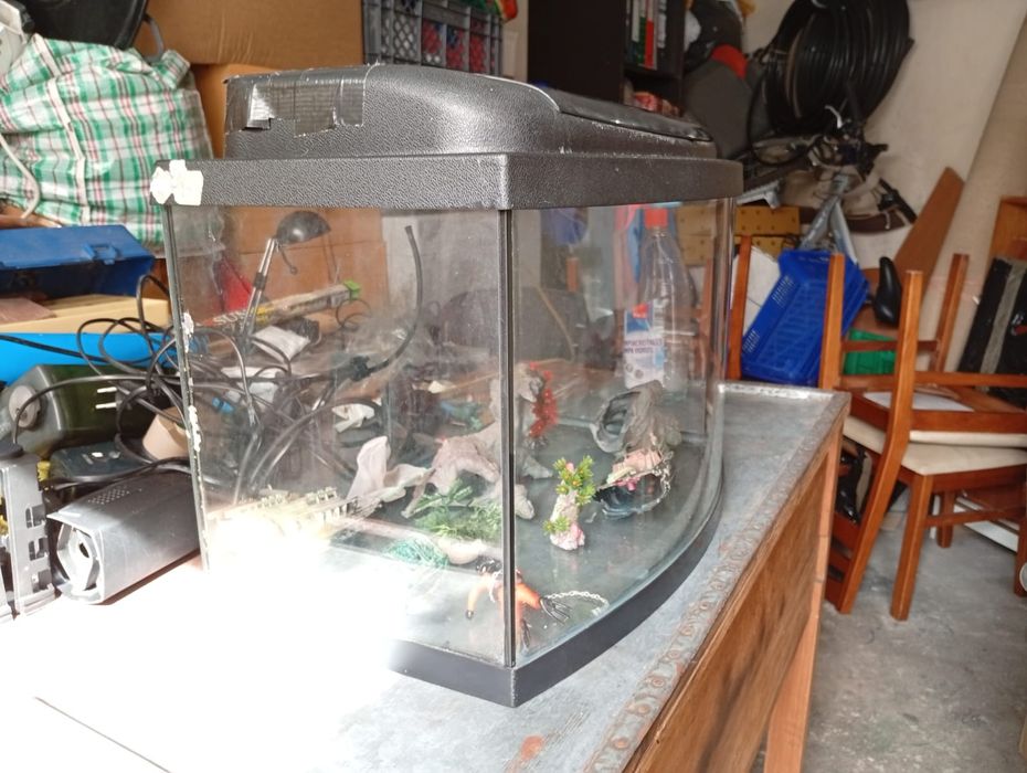 Vendo 3 aquários com acessórios