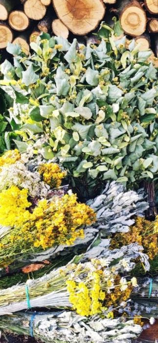 Віники для бані.