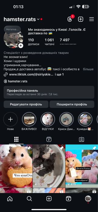 Хом’як Ангорський Ручні  блискучий Королівський сатин Закордонні гени