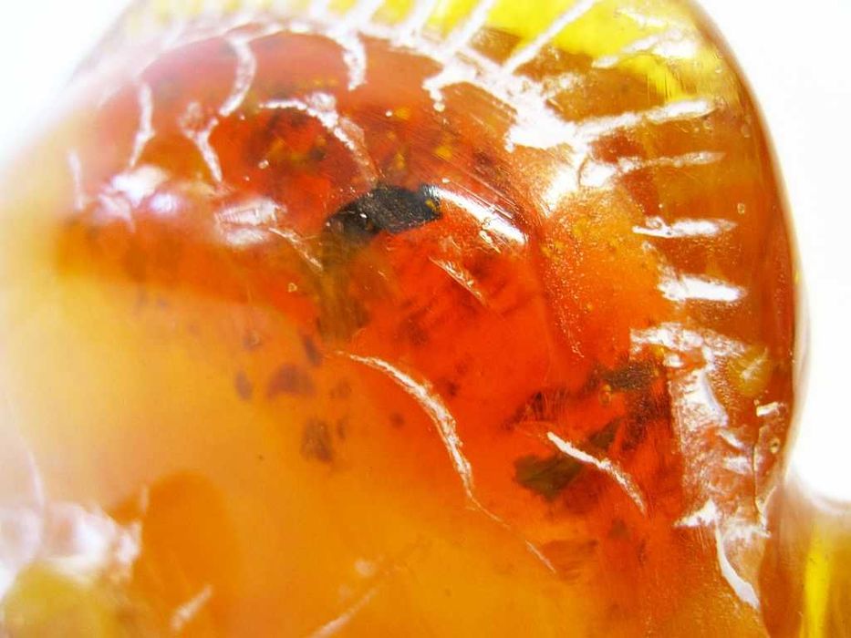 Pisa papel  vintage peixe em ambar esculpido com inclusões-145 gramas