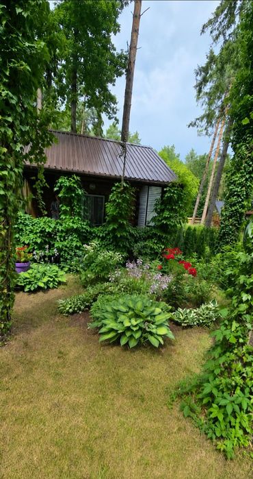 Domek letniskowy - Siedlisko nad jeziorem Symsar