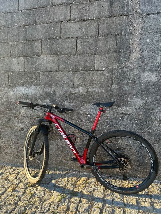 Bike btt coluer carbono