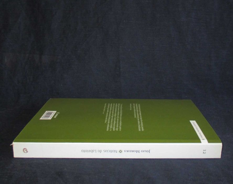 Livro Notícias do Labirinto Júlio Moreira