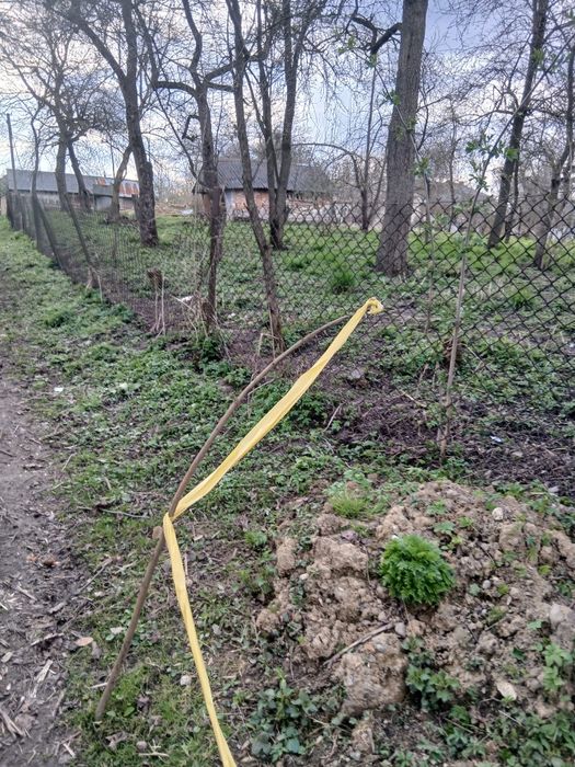 Земельна ділянка дача будинок