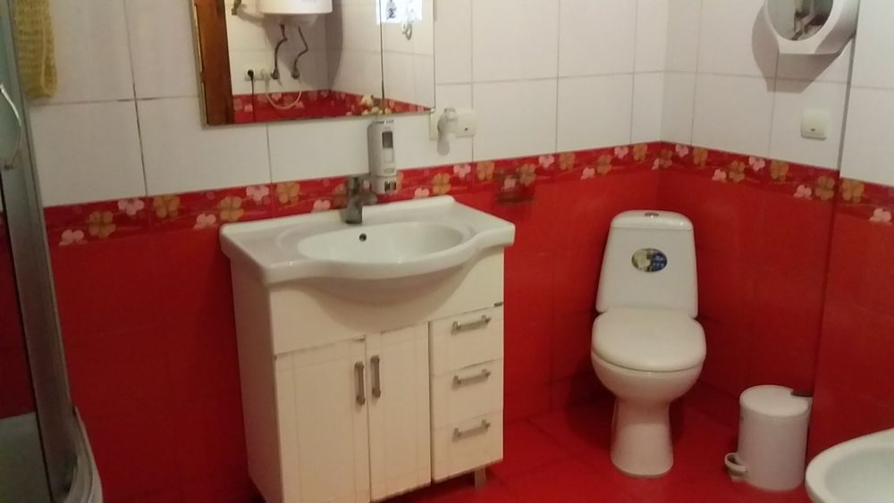 Зимова мелодія Карпат