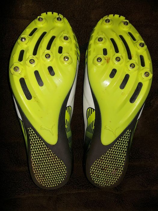 Шиповки фірми Puma Evospeed Sprint 7 оригінал

Розмір по бірці:

UK 1