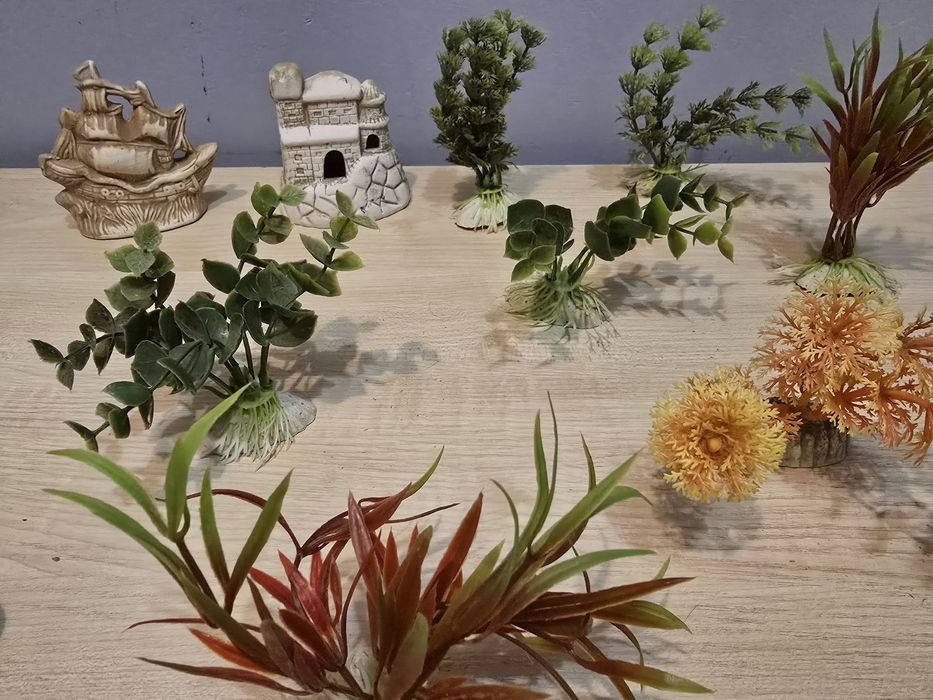 Roślinki,  filtr do akwarium