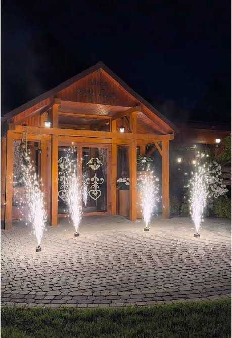 Pozdrowienia od Białego Misia