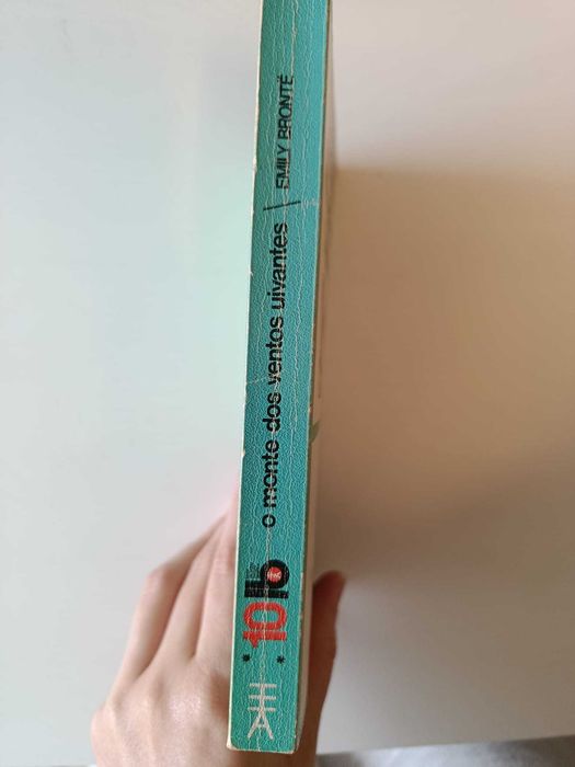"O Monte dos Ventos Uivantes", Emily Brönte