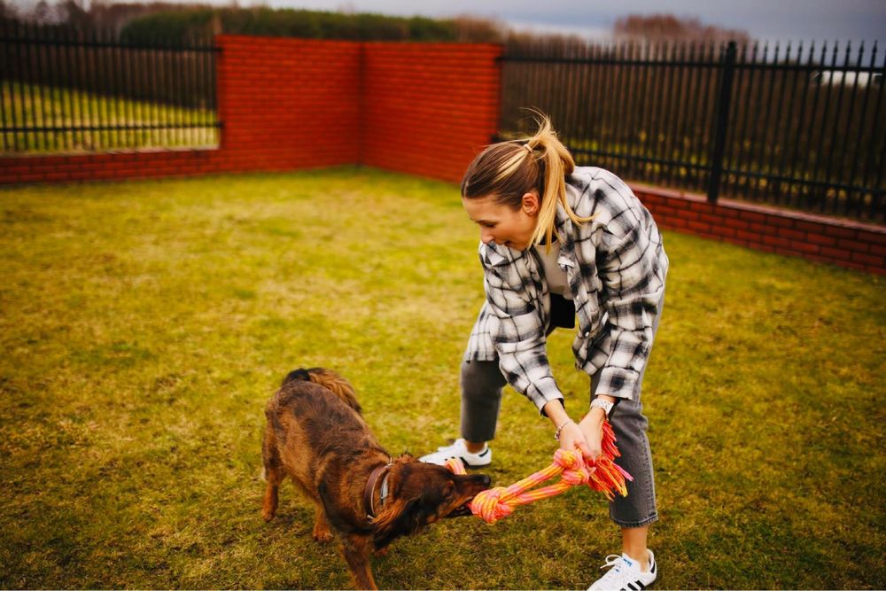 Trener Psów - Behawiorysta