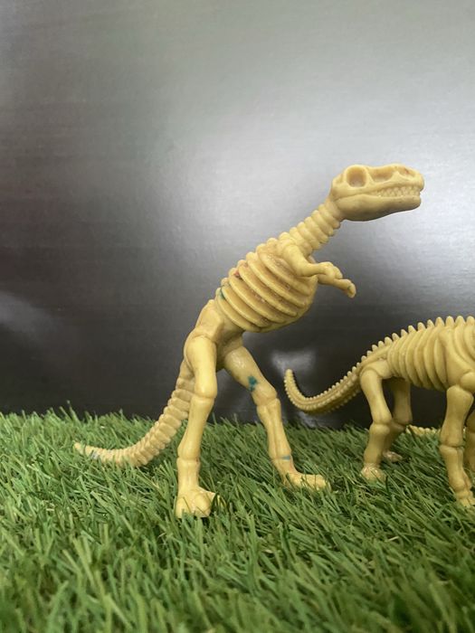 Dinosaur Skeletons64740415236865122