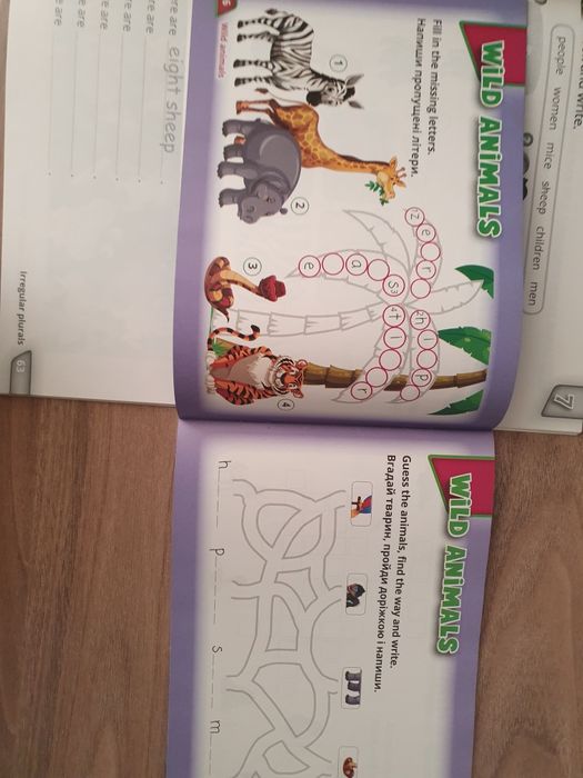 Quick Minds 2 Teacher's Book, Puzzles + dictionary