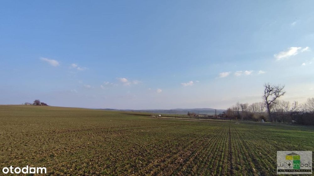 Atrakcyjne działki budowlane w Słupicach