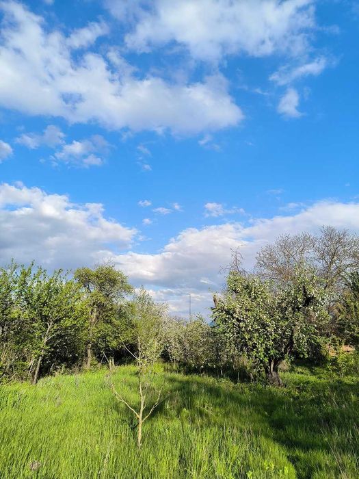 Продам будинок 40 сот.землі  Сквирський р-н с. Антонів  Київська обл.