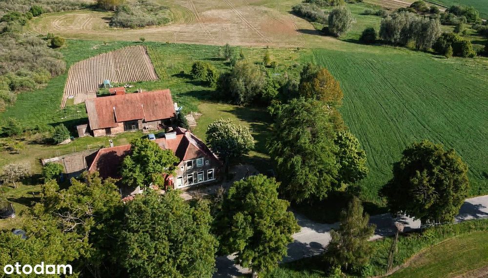 Kompleks 5 działek (1,68ha) na Mazurach – Pakiet lub osobno, WZ w toku
