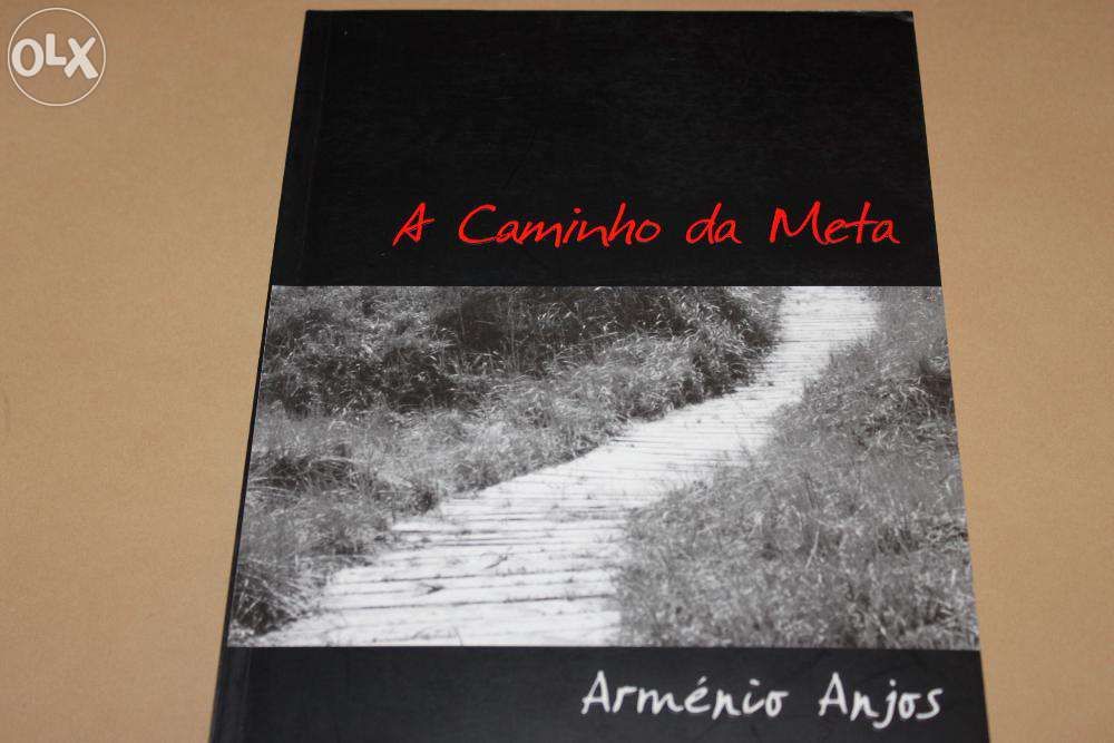 A Caminho da Meta de Arménio Anjos