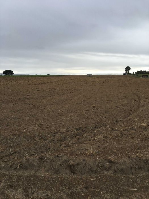 vendo terreno e casa  ecologica em palmela com projecto approvado