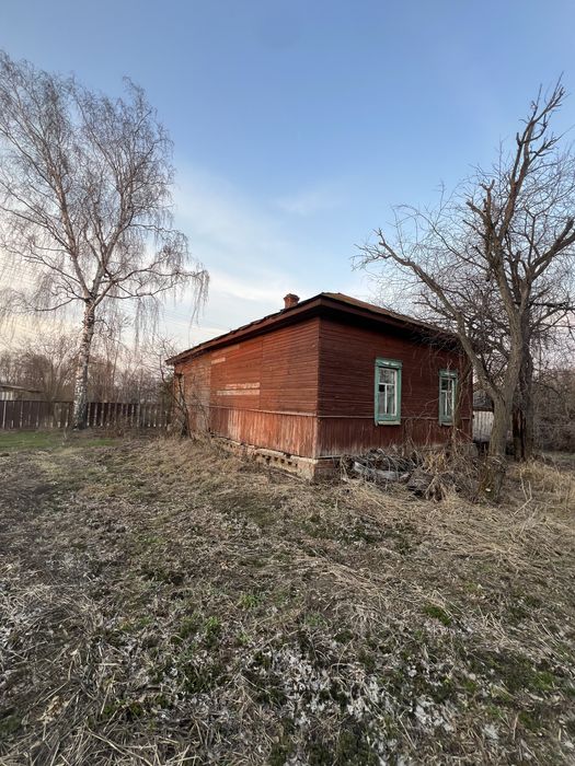 Продам будинок з ділянкою, садом,  в селі недалеко від Чернігів