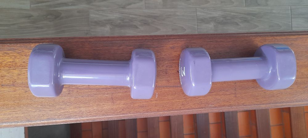 Alteres de 3 kgs novos