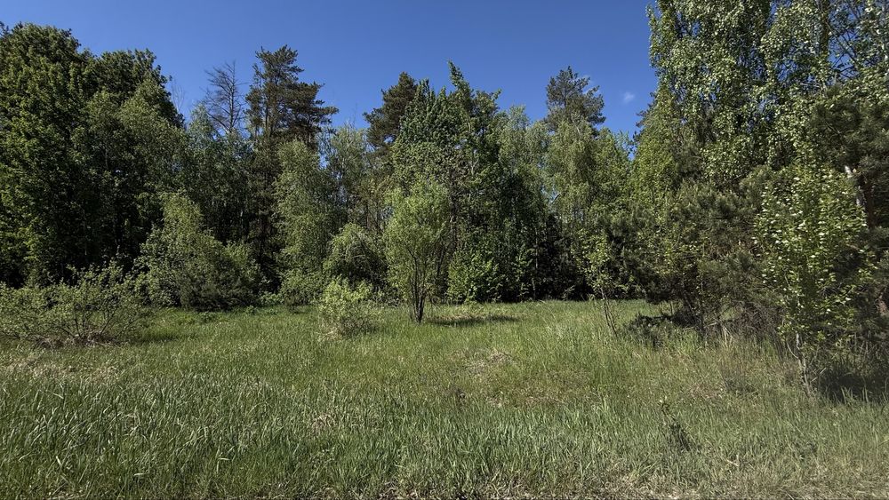 Земельна ділянка