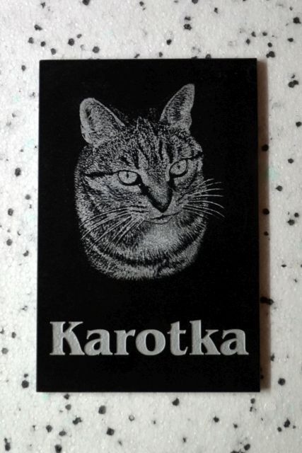 Nagrobek dla kota duży