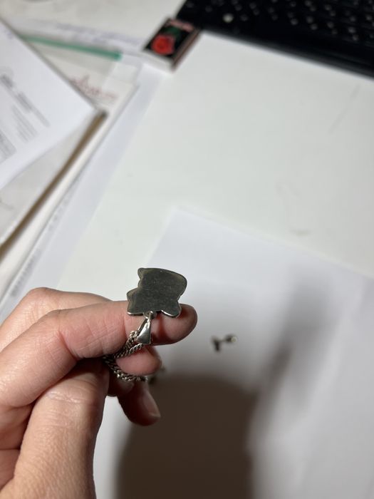 Милий срібний енот на лантюжку